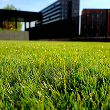 ARTIFICIALl GRASS